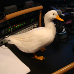 nashville may 2011 092